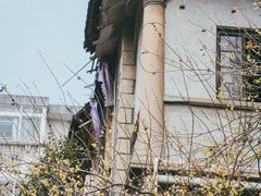 -叶楚伧故居