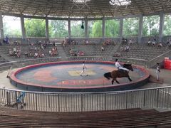 -辛玛王国游乐园