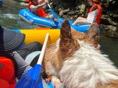 -安吉龙王山峡谷漂流