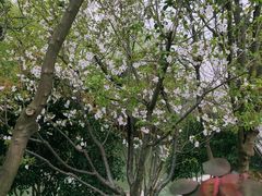 -太湖湖滨国家湿地公园-停车场