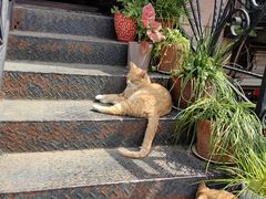 -俄罗斯风情街