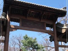 -阳台山自然风景区