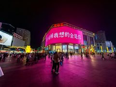 -农夫大盘鸡(经八路总店)