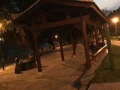 -光明港公园
