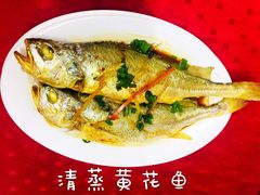 -蛇口康乐快餐鱼仔档(翠苑小区店)