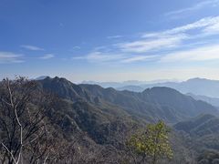 -大岭沟猕猴桃谷风景区