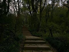 -杭州半山国家森林公园