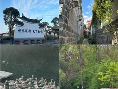 -千年银杏谷文化旅游区