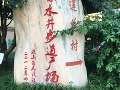 -南山植物园