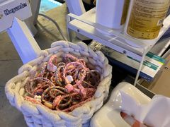 -白仁仔· 活烤海鲜 宵夜(豫园店)