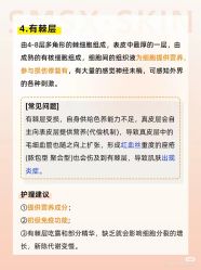 -玛莲朵·海菲秀冰珀科