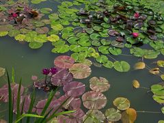 -国家植物园南园