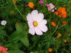 -桤木河湿地公园