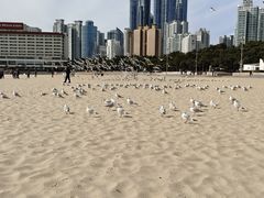 -海云台海滩