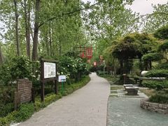-合肥滨湖国家森林公园