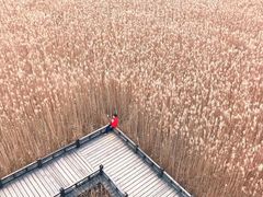 -野鸭湖国家湿地公园