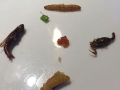 -慢丽江·云南野生菌土鸡锅(付家庄店)
