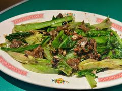 -鲁采LU STYLE(新天地店)