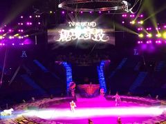 -珠海横琴长隆《卡卡虎奇遇记》