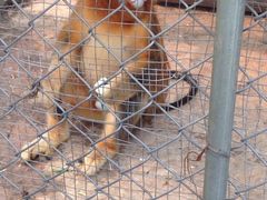 iphone_upload_pic-祥源·阜阳生态乐园