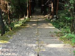 -武陵山森林公园