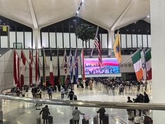 -纽瓦克自由国际机场