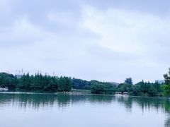 -青枫公园
