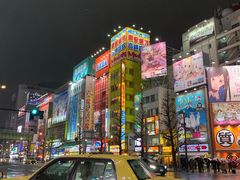 -秋叶原电器街