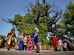 -大槐树寻根祭祖园