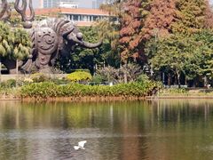 -四海公园(南山区)