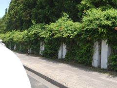 -万达广场(扬州邗江店)