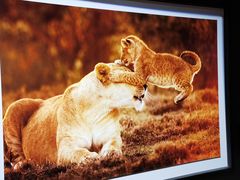 -罗红摄影艺术馆