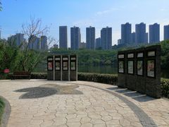 -重庆彩云湖湿地公园