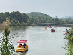 -枫香湖儿童公园