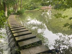 -桤木河湿地公园