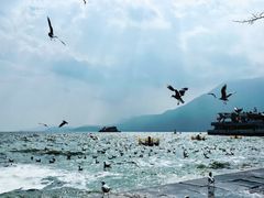 -滇池海埂公园