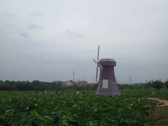 -武汉紫薇都市田园