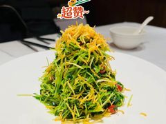 巧拌豆苗-四季民福烤鸭店(王府井东安门店)