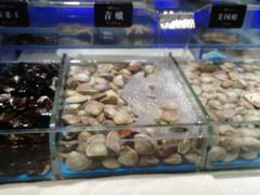 -加餐海鲜自助(宝龙一城店)