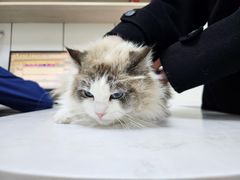 -贝康宠物医院·犬猫全科·小动物特色诊疗中心(东环路店)