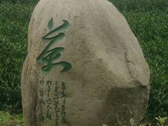 -帐篷客·溪龙茶谷度假酒店