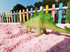 -苏州太湖西山岛开心农场