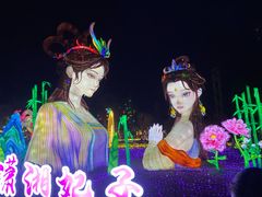 -洋湖国家湿地公园