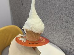 -野人先生现做冰淇淋(北京环宇荟店)