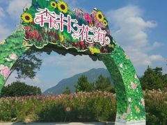 -广州市流溪河国家森林公园
