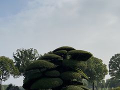 -旭宝高尔夫俱乐部