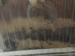 -美浓蛋糕(长清大学城店)