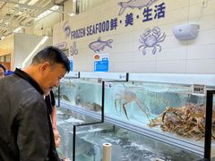 -洛阳郁金香牡丹园