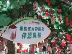 -呀诺达热带雨林