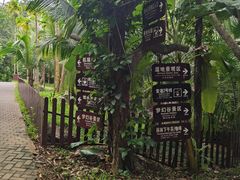 -呀诺达热带雨林